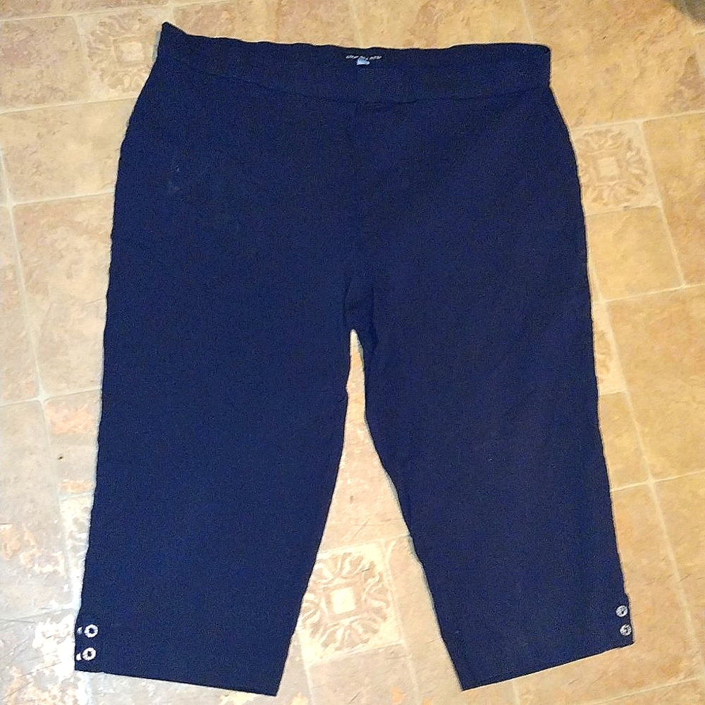 Counterparts navy blue Capri pants-20W